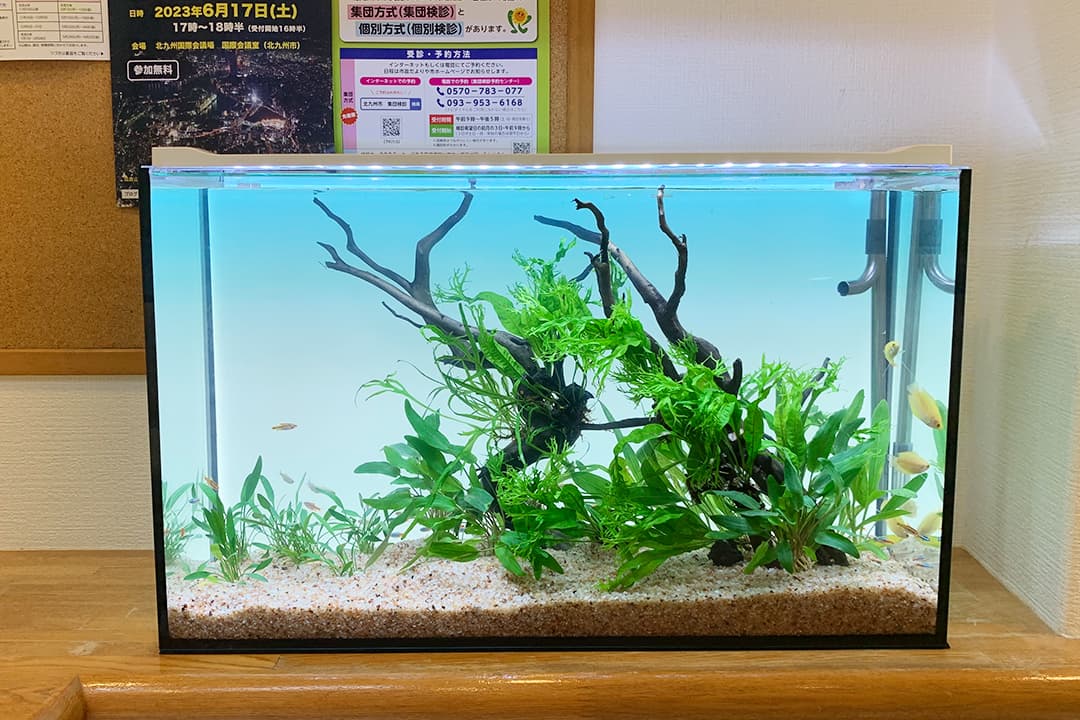 アクアスタート導入プラン例