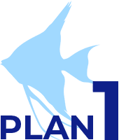 PLAN1