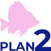 PLAN2