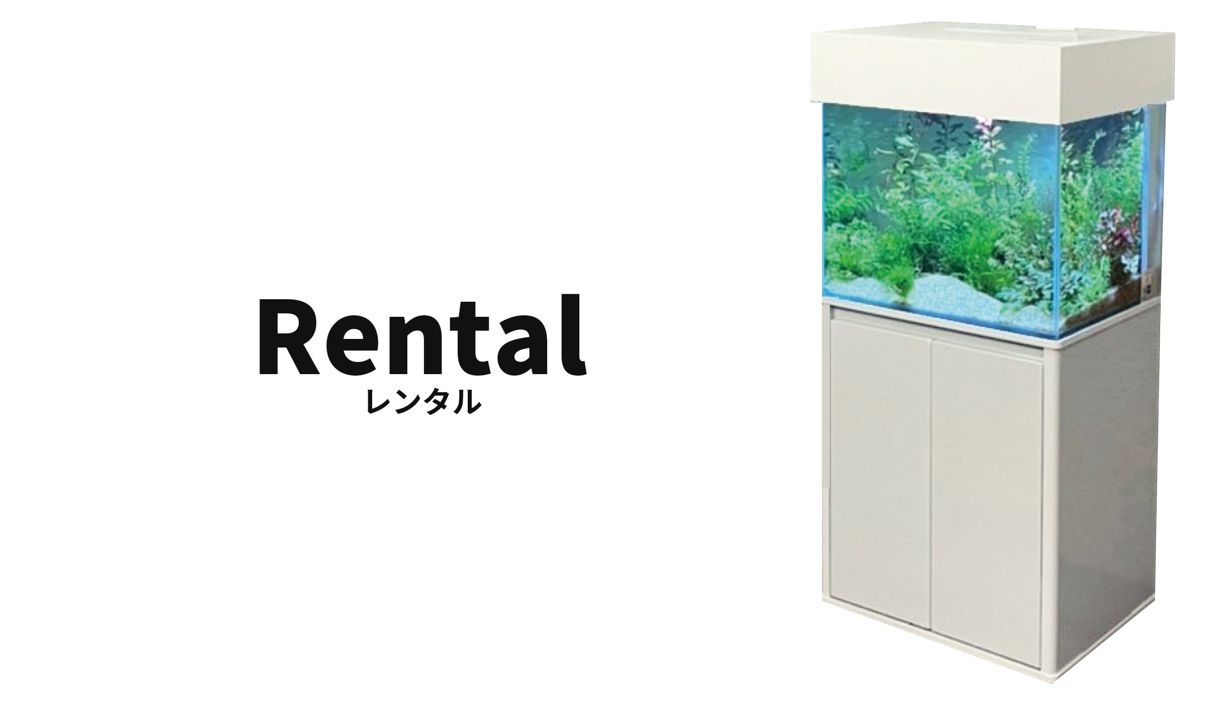 レンタル