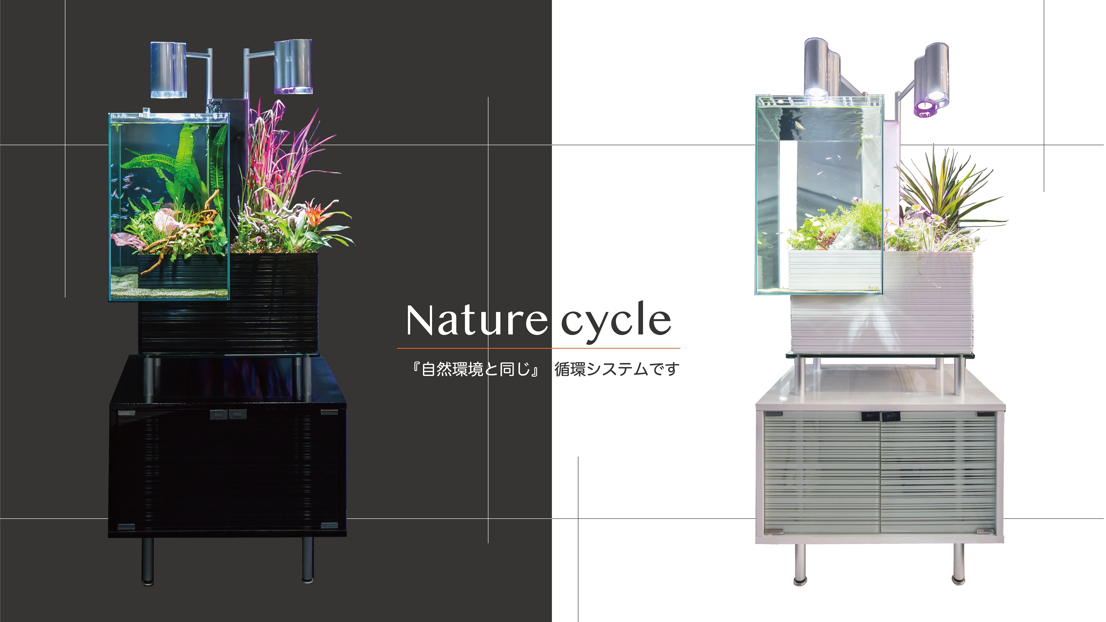 ガラス水槽関連 魚と植物がセットで楽しめる　家庭用アクアポニックス　brio35(ブリオ)　60Hz地域用(西日本)