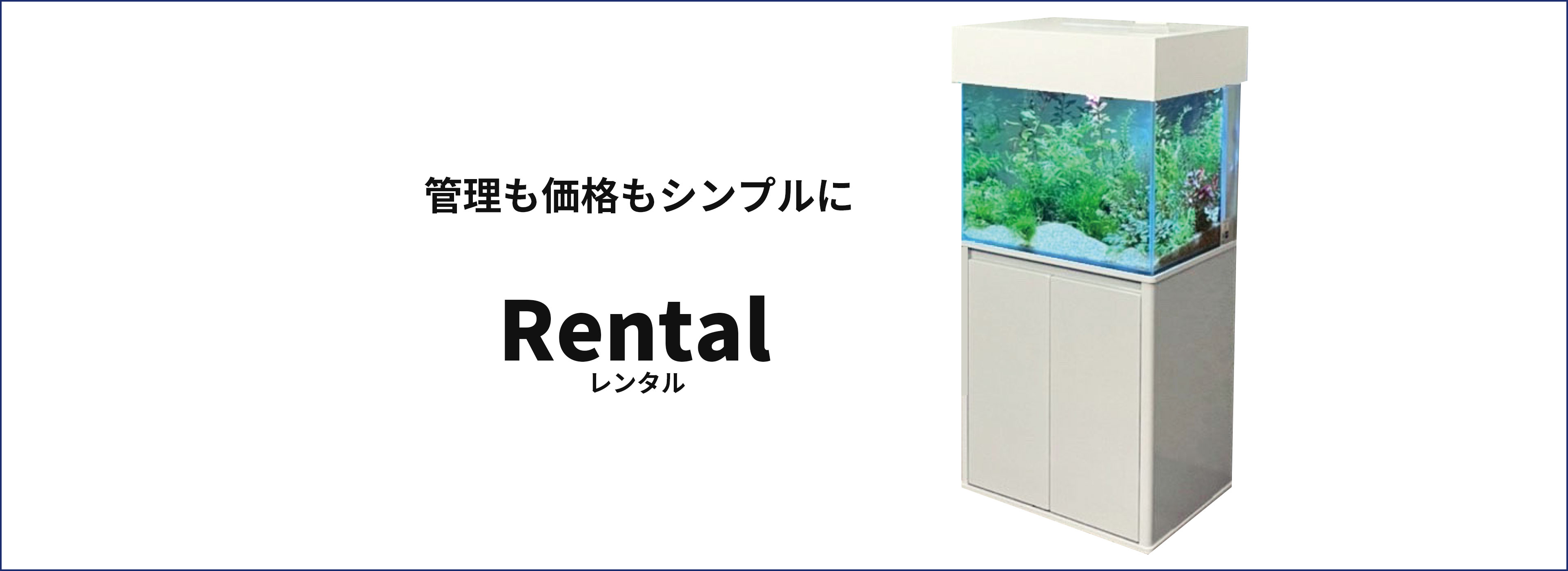 レンタル
