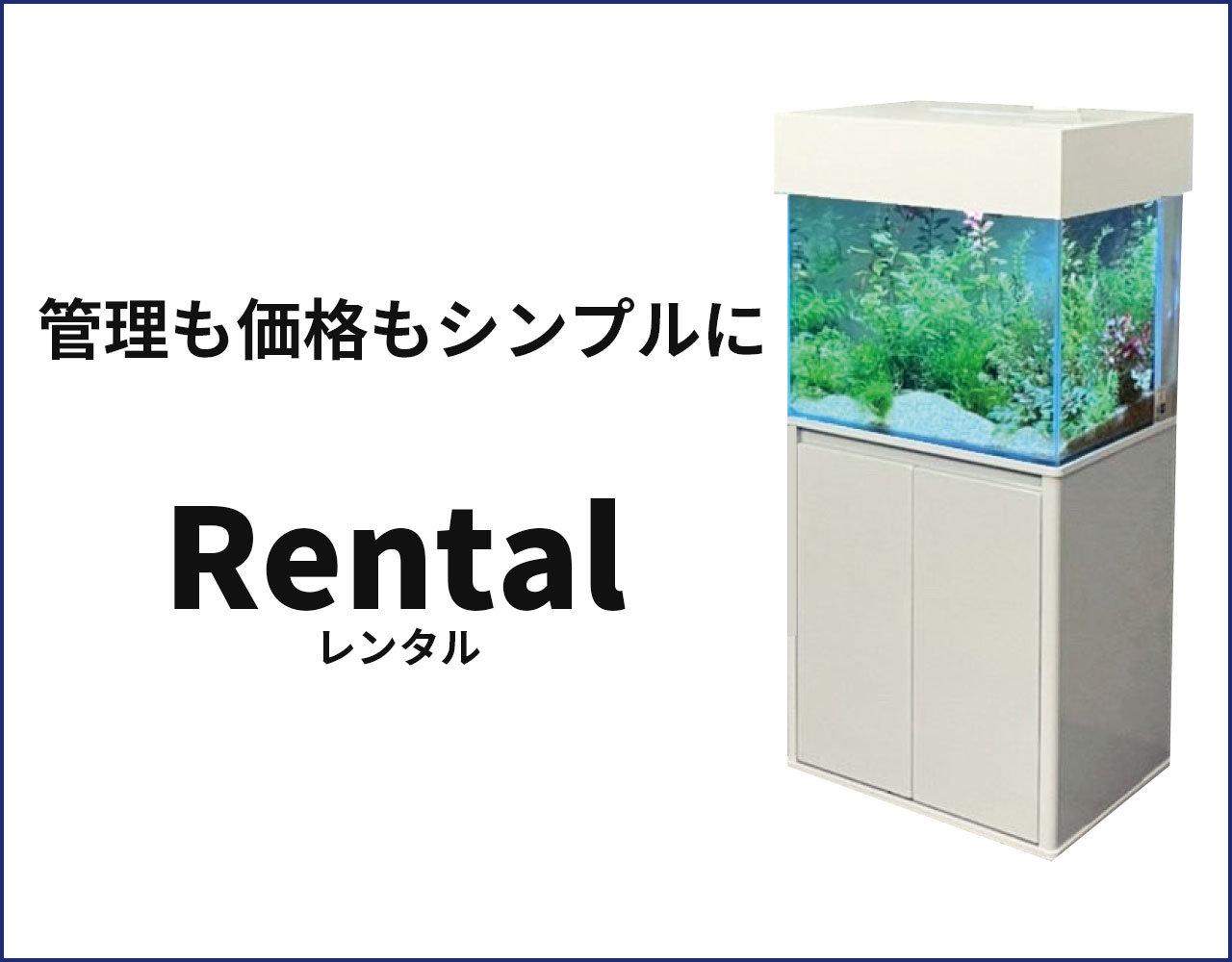 レンタル