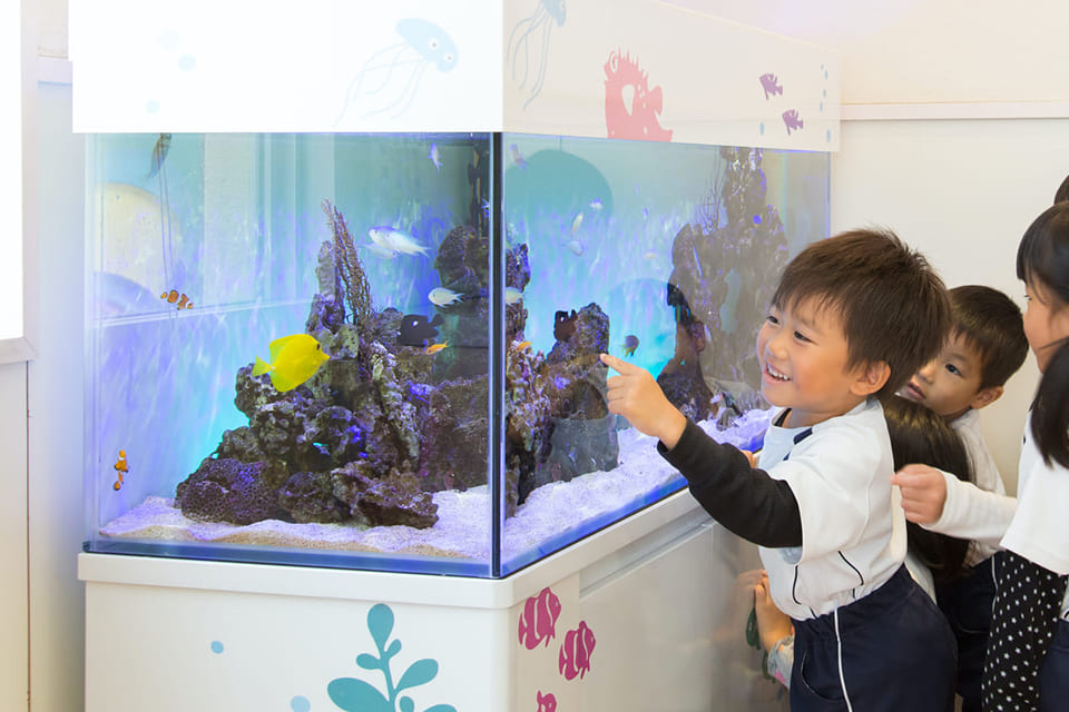 幼稚園や保育園