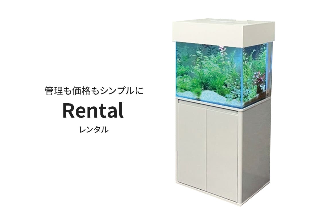 レンタル