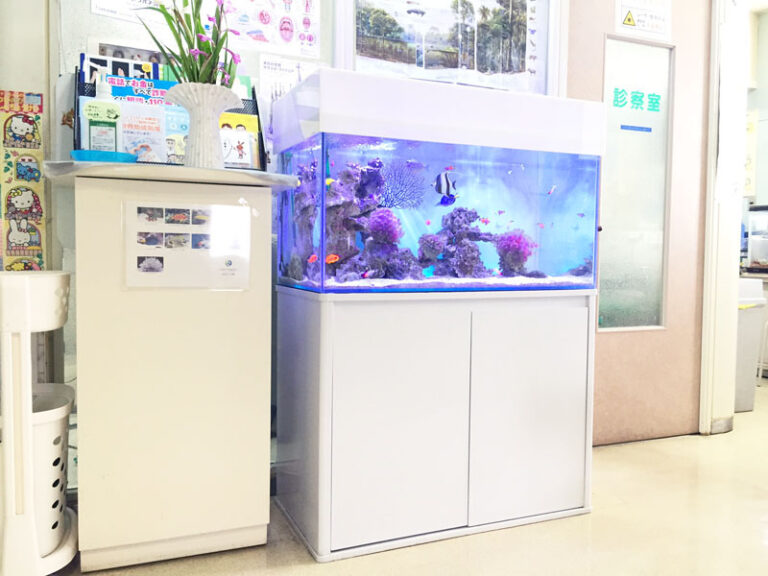 「海水魚と生サンゴ」の水槽（北九州市）