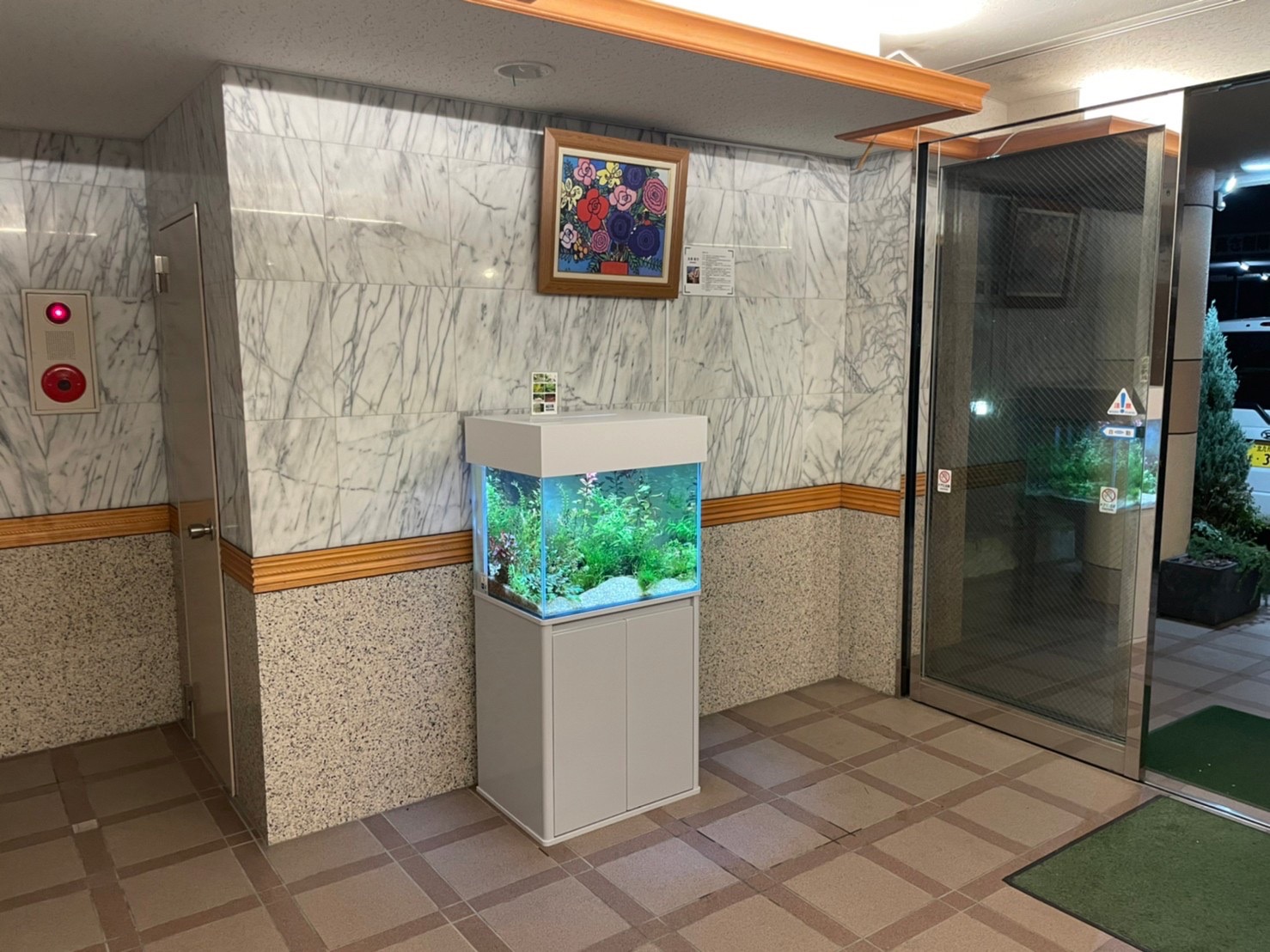 熱帯魚水槽