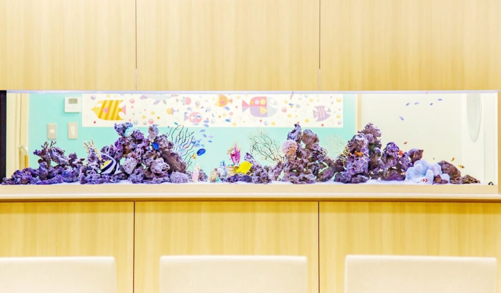 「海水魚と生サンゴ」の水槽(高松市）