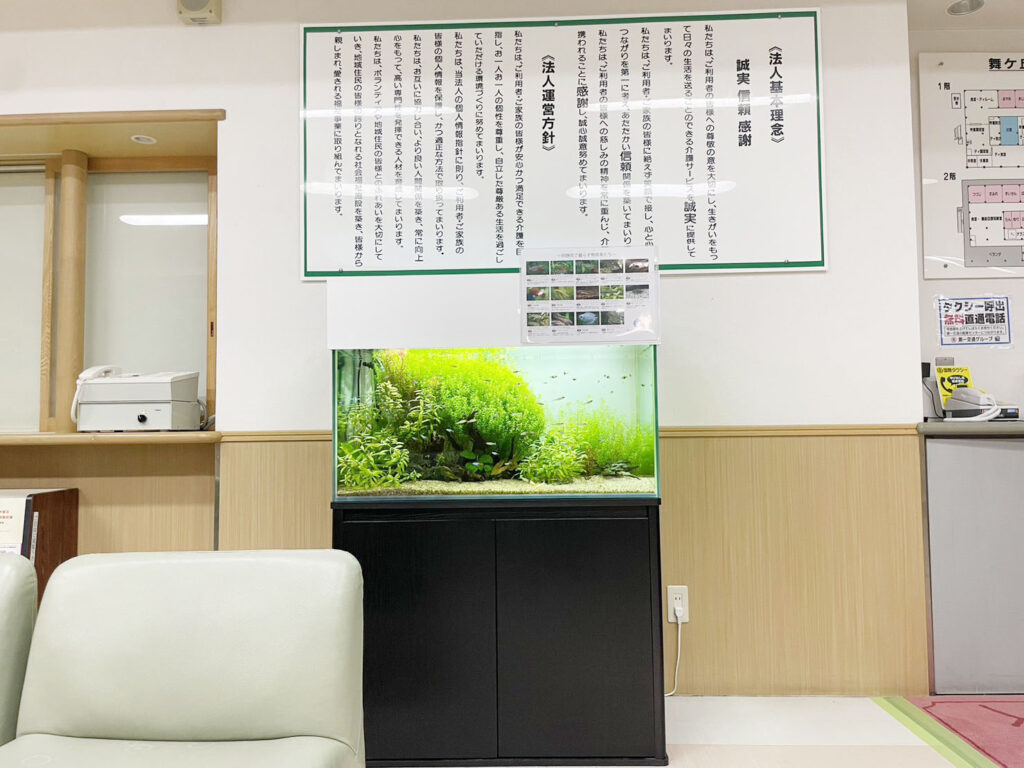 「熱帯魚と水草」の水槽（北九州市）