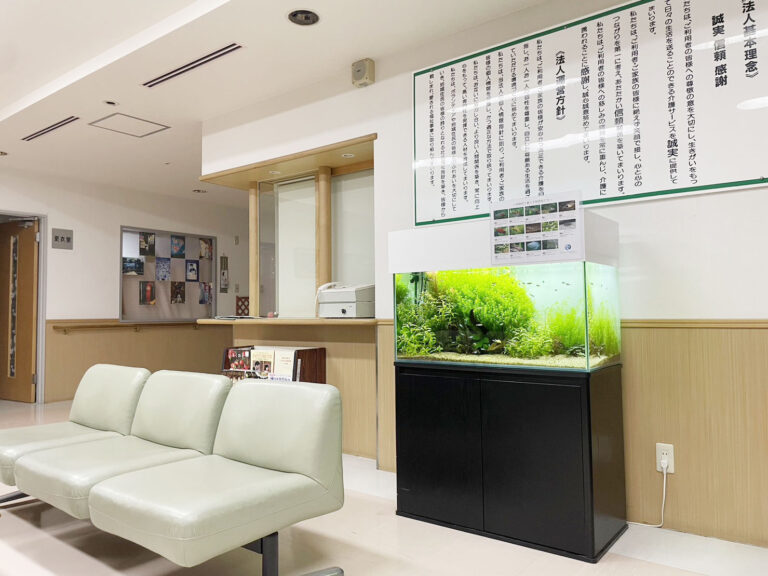 「熱帯魚と水草」の水槽（北九州市）