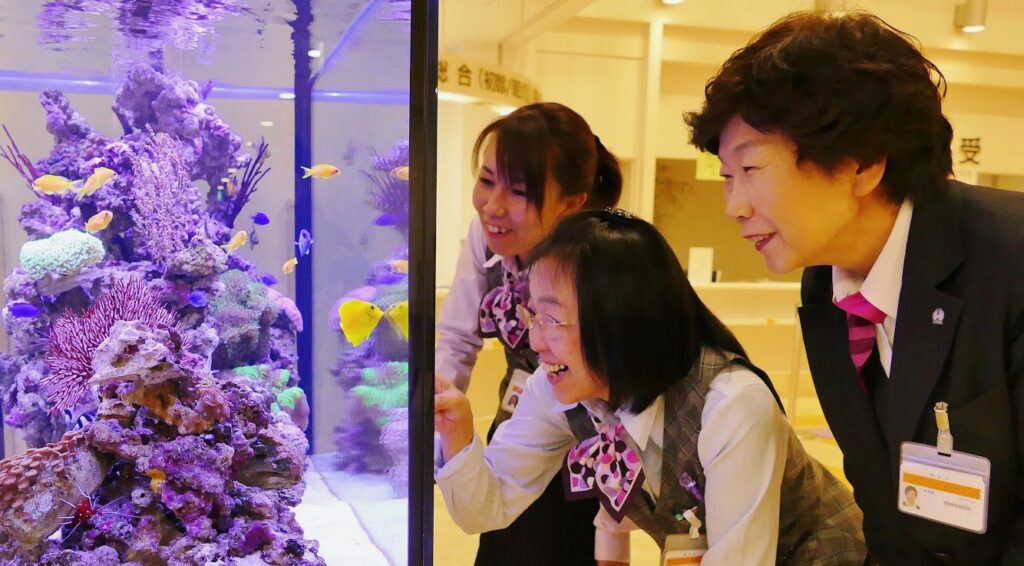 「海水魚と生サンゴ」の水槽（福岡市）
