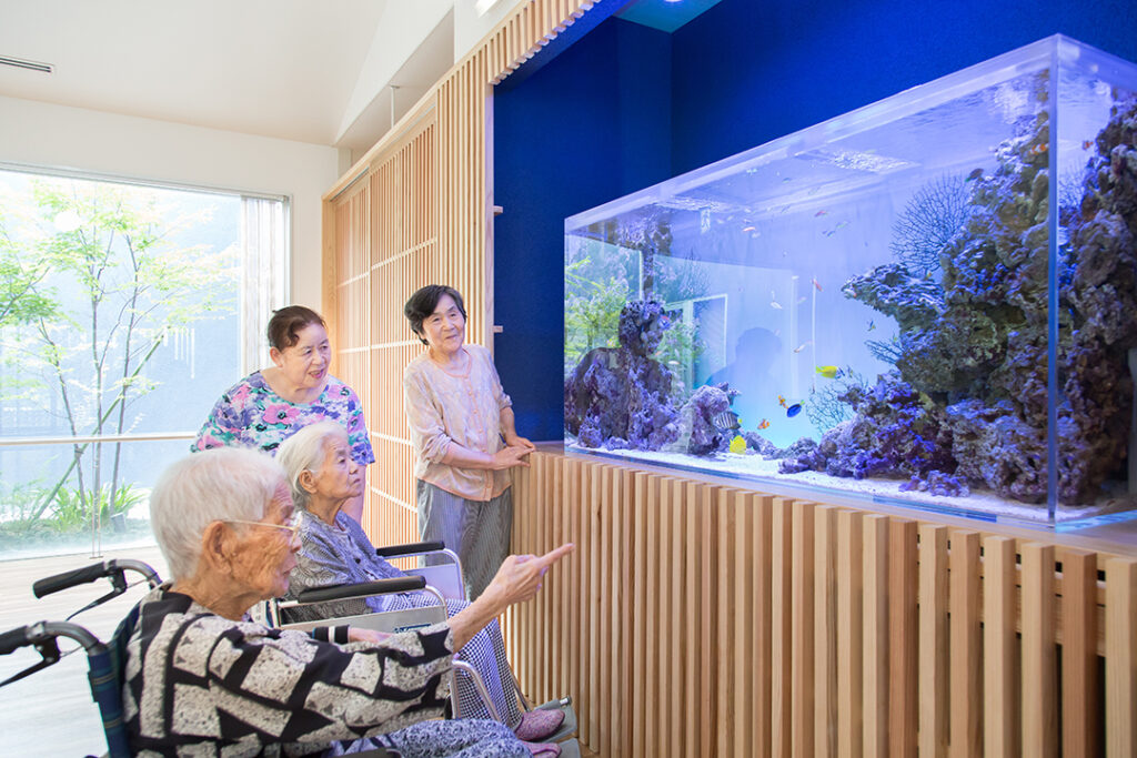 「海水魚」の水槽（熊本市）