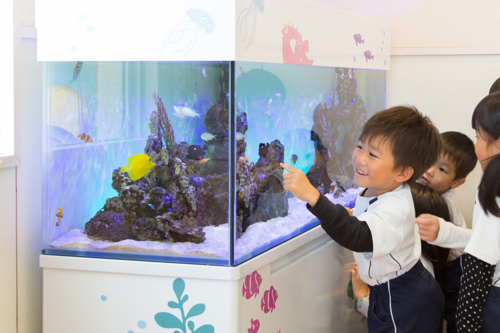 「海水魚とイソギンチャク」の水槽（北九州市）