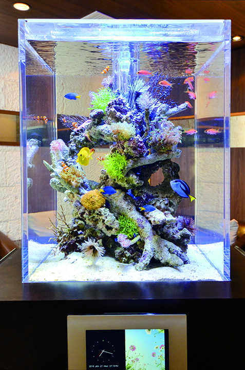 「海水魚と生サンゴ」の水槽（福岡市）