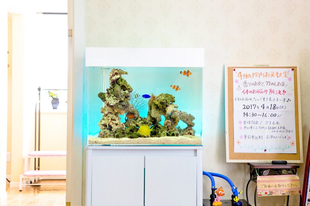 「海水魚」の水槽（苅田町）