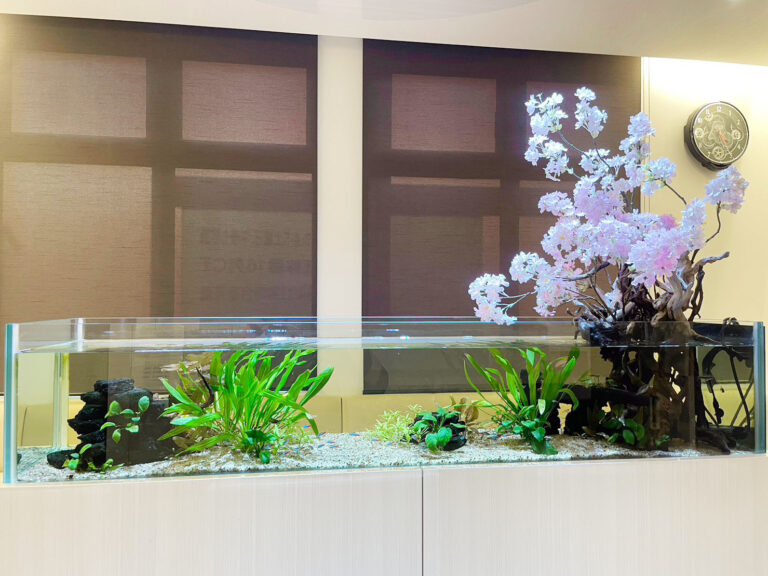 「熱帯魚とアーティフィシャルフラワー」の水槽（苅田町）