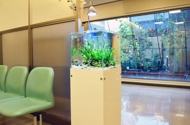 医院中待合室に設置されたフルオーダー『アクアリウム』（北九州市）