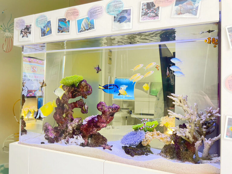 「海水魚」の水槽（北九州市）
