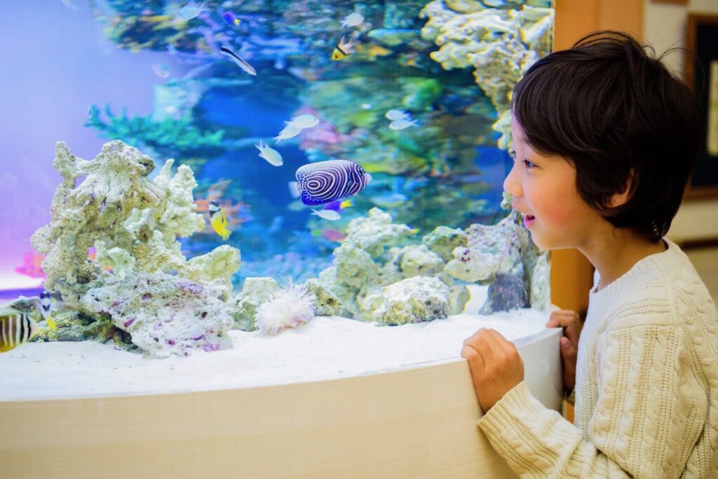 「海水魚」の水槽（さいたま市）