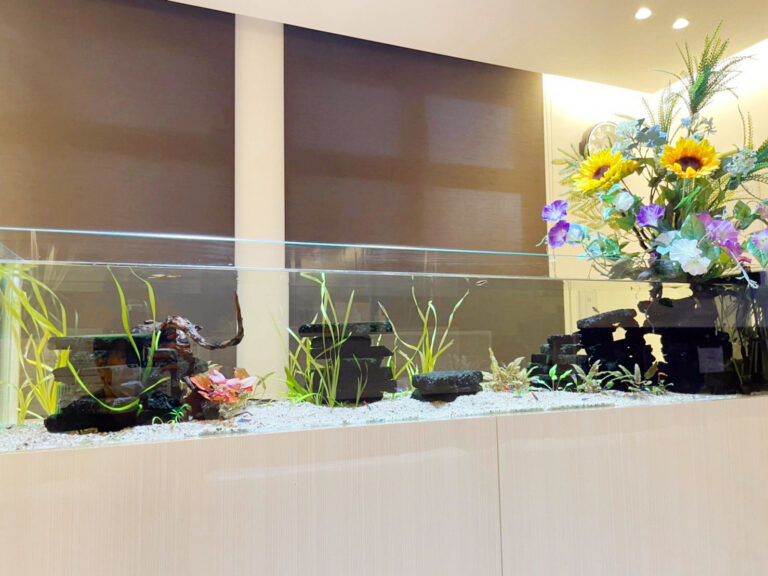 「熱帯魚とアーティフィシャルフラワー」の水槽（苅田町）