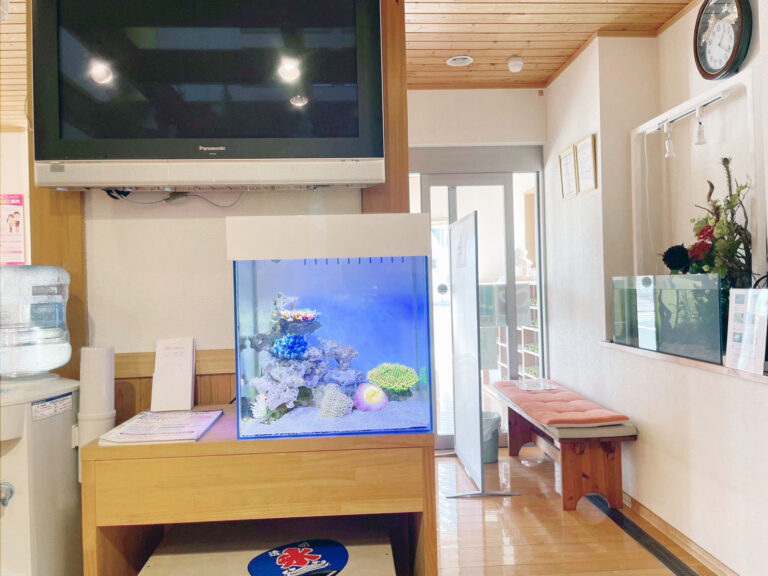 「海水魚」の水槽（北九州市）