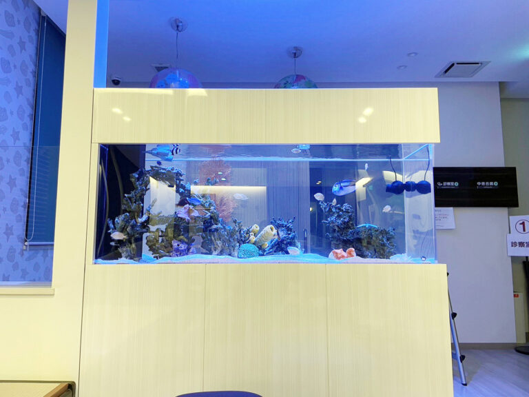 「海水魚」の水槽（苅田町）