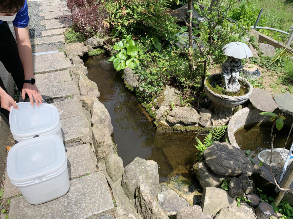 鯉の池（福岡県京都郡苅田町）