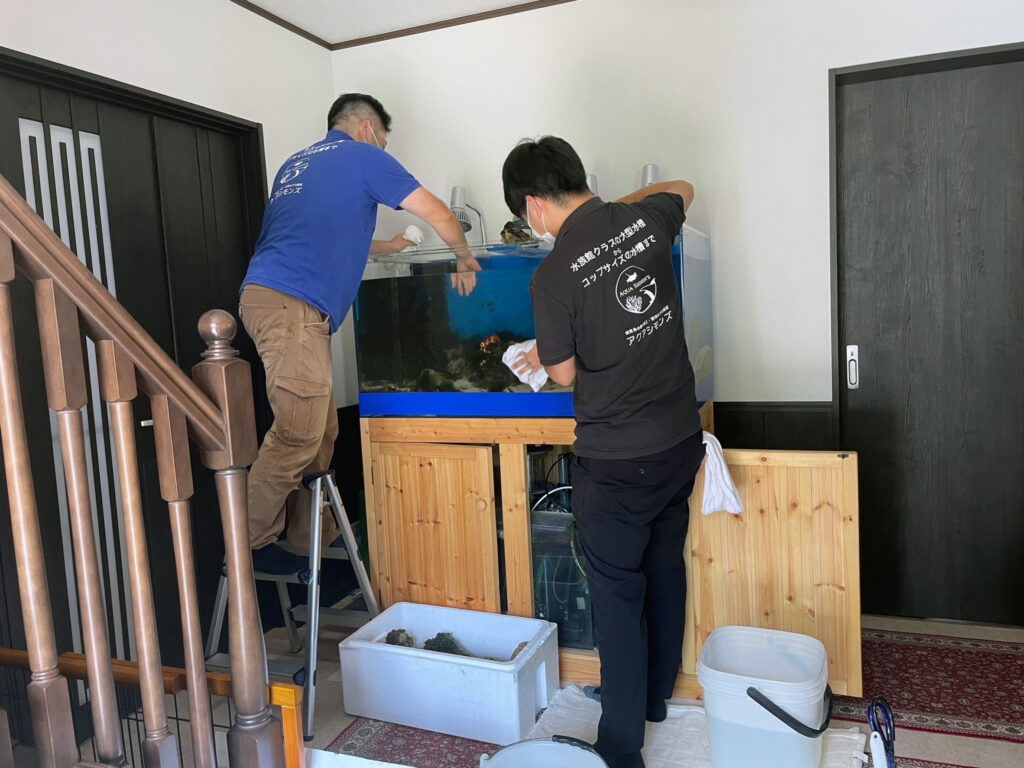 120cm 海水魚水槽(福岡県北九州市)